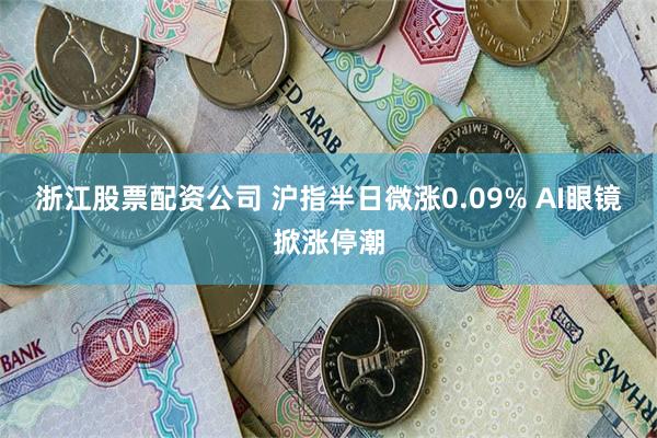 浙江股票配资公司 沪指半日微涨0.09% AI眼镜掀涨停潮