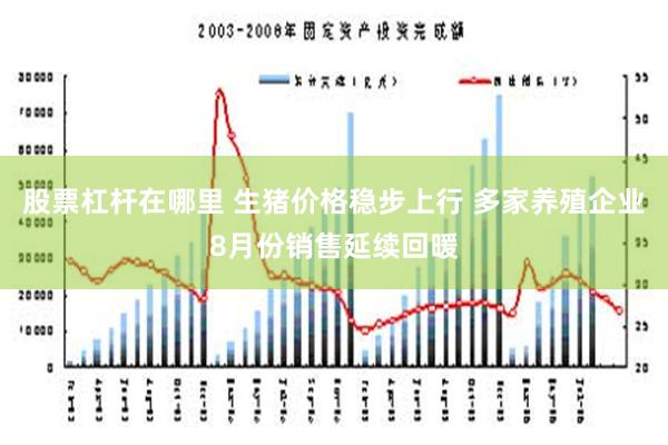 股票杠杆在哪里 生猪价格稳步上行 多家养殖企业8月份销售延续回暖