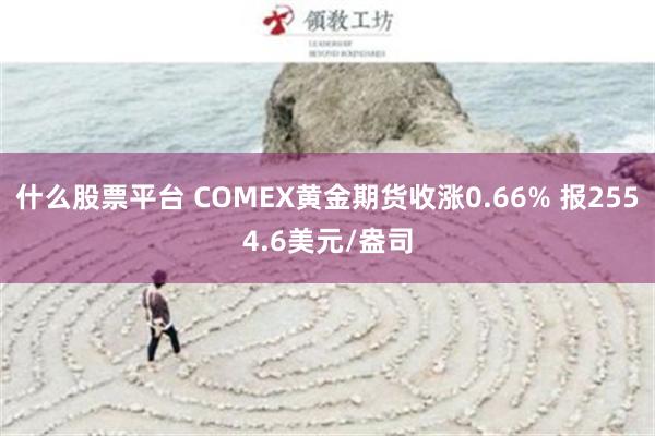 什么股票平台 COMEX黄金期货收涨0.66% 报2554.6美元/盎司