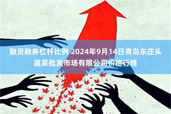 融资融券杠杆比例 2024年9月14日青岛东庄头蔬菜批发市场有限公司价格行情