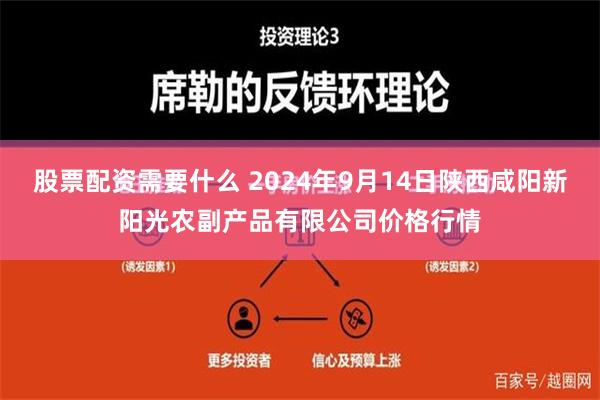 股票配资需要什么 2024年9月14日陕西咸阳新阳光农副产品有限公司价格行情