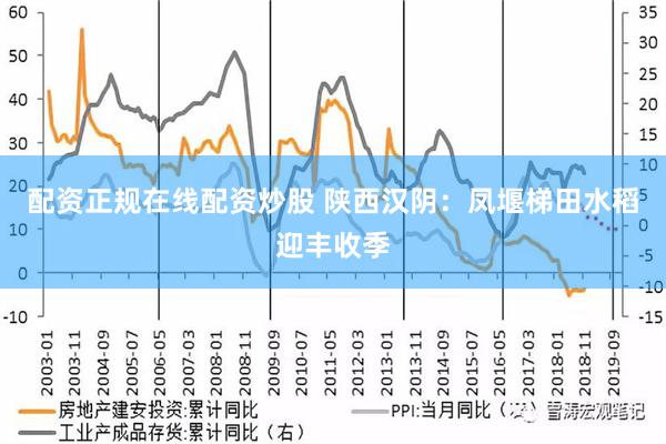 配资正规在线配资炒股 陕西汉阴：凤堰梯田水稻迎丰收季