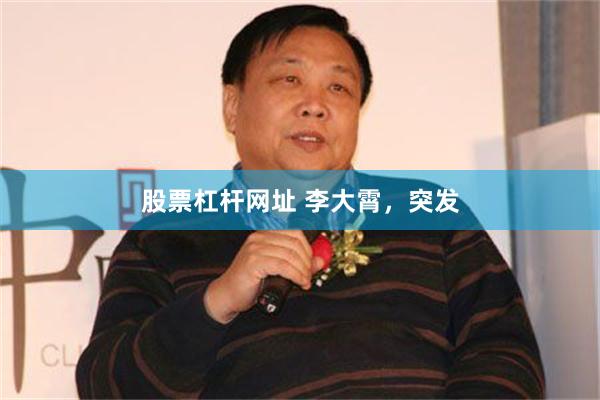 股票杠杆网址 李大霄，突发