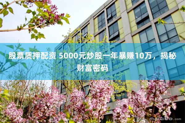 股票质押配资 5000元炒股一年暴赚10万，揭秘财富密码