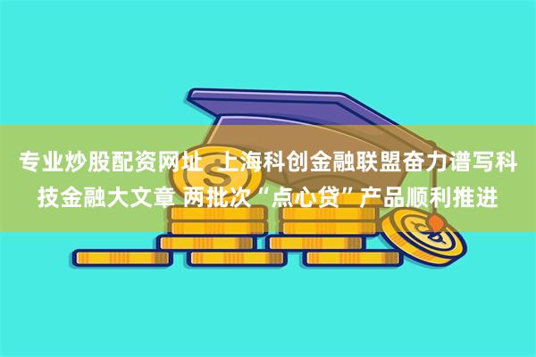 专业炒股配资网址  上海科创金融联盟奋力谱写科技金融大文章 两批次“点心贷”产品顺利推进