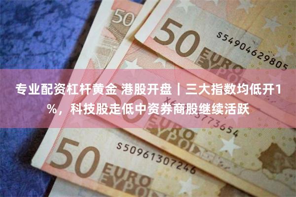 专业配资杠杆黄金 港股开盘｜三大指数均低开1%，科技股走低中资券商股继续活跃