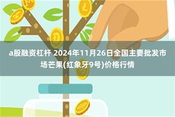 a股融资杠杆 2024年11月26日全国主要批发市场芒果(红象牙9号)价格行情