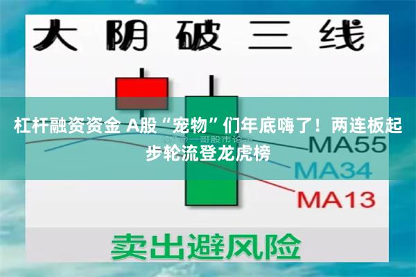 杠杆融资资金 A股“宠物”们年底嗨了！两连板起步轮流登龙虎榜