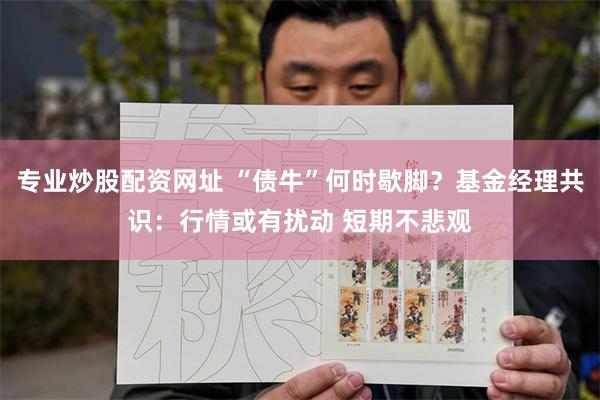 专业炒股配资网址 “债牛”何时歇脚？基金经理共识：行情或有扰动 短期不悲观