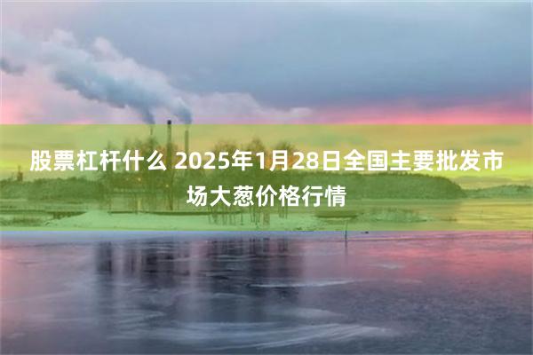 股票杠杆什么 2025年1月28日全国主要批发市场大葱价格行情