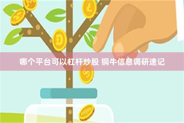 哪个平台可以杠杆炒股 铜牛信息调研速记