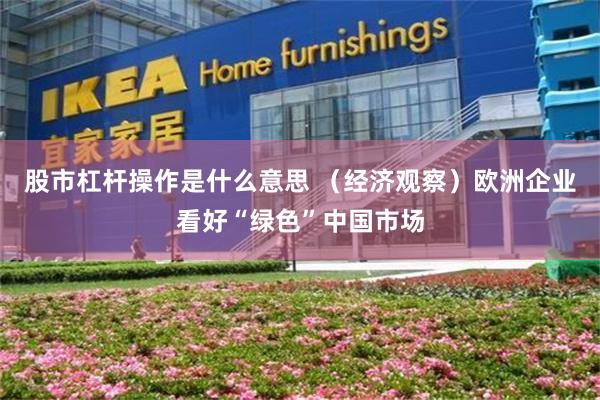 股市杠杆操作是什么意思 （经济观察）欧洲企业看好“绿色”中国市场